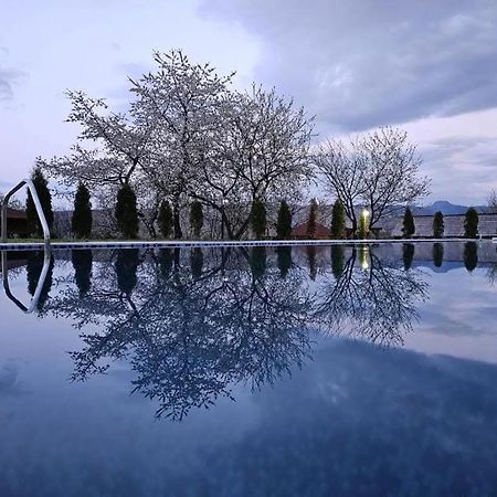 Soare-N Maramures Budeşti Dış mekan fotoğraf