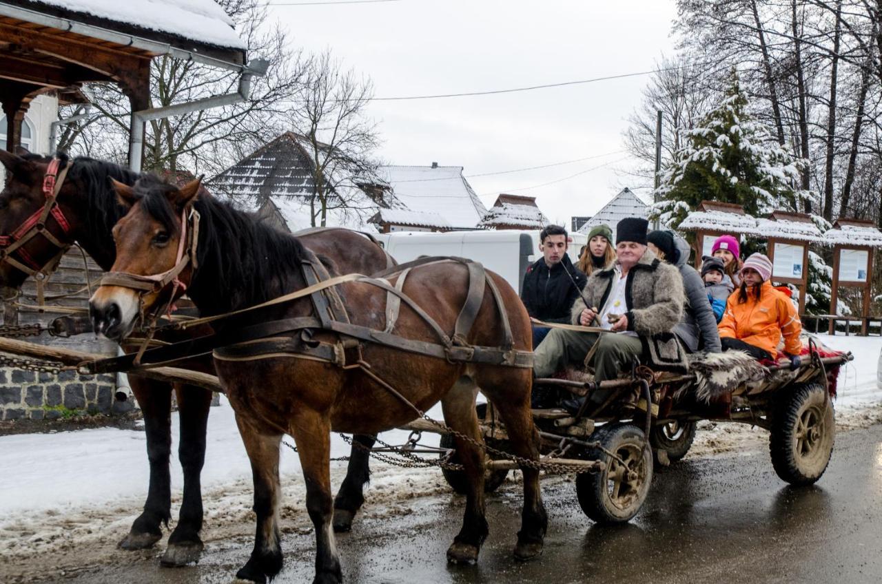 Soare-N Maramures Budeşti Dış mekan fotoğraf